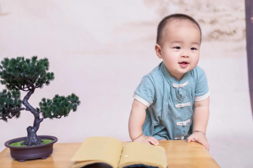无棣可爱的企鹅宝宝